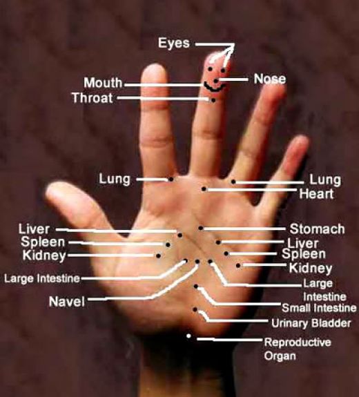 Acupressure Points On Palm Chart